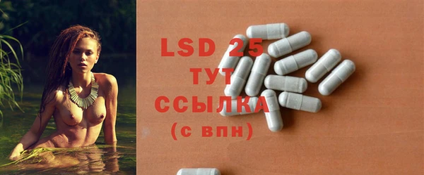 PSILOCYBIN Алзамай