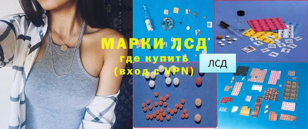PSILOCYBIN Алзамай
