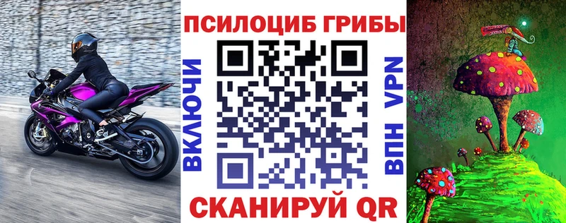 Псилоцибиновые грибы Magic Shrooms  Южно-Сухокумск 